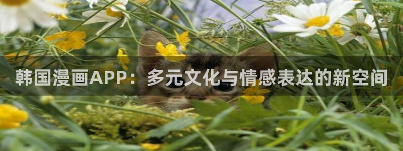歪歪漫画免费观看全集：韩国漫画APP：多元文化与情感表达的新空间