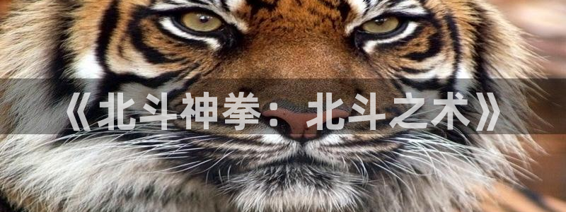 歪歪漫画秋蝉：《北斗神拳：北斗之术》
