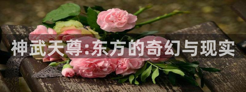 歪歪漫画在线阅读：神武天尊:东方的奇幻与现实