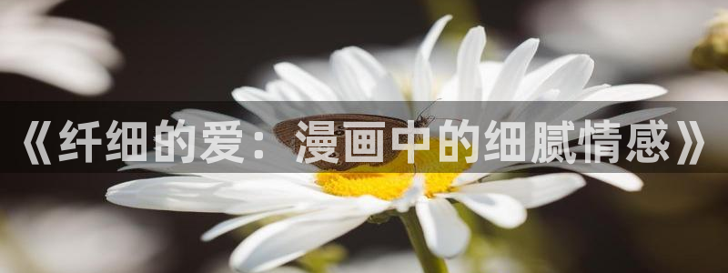 歪歪漫画免费登录观看：《纤细的爱：漫画中的细腻情感》