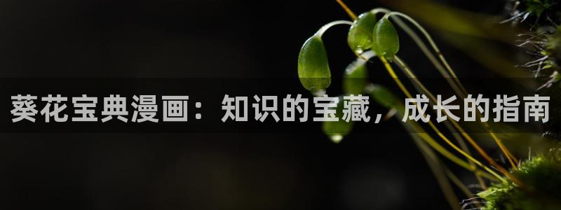 歪歪漫画免费观看在线：葵花宝典漫画：知识的宝藏，成长的指南