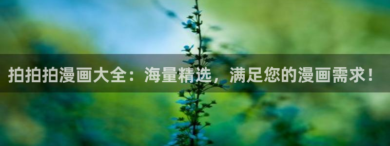 色歪歪漫画：拍拍拍漫画大全：海量精选，满足您的漫画需求！