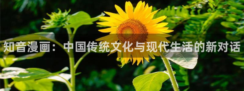 韩国歪歪漫画网站：知音漫画：中国传统文化与现代生活的新对话